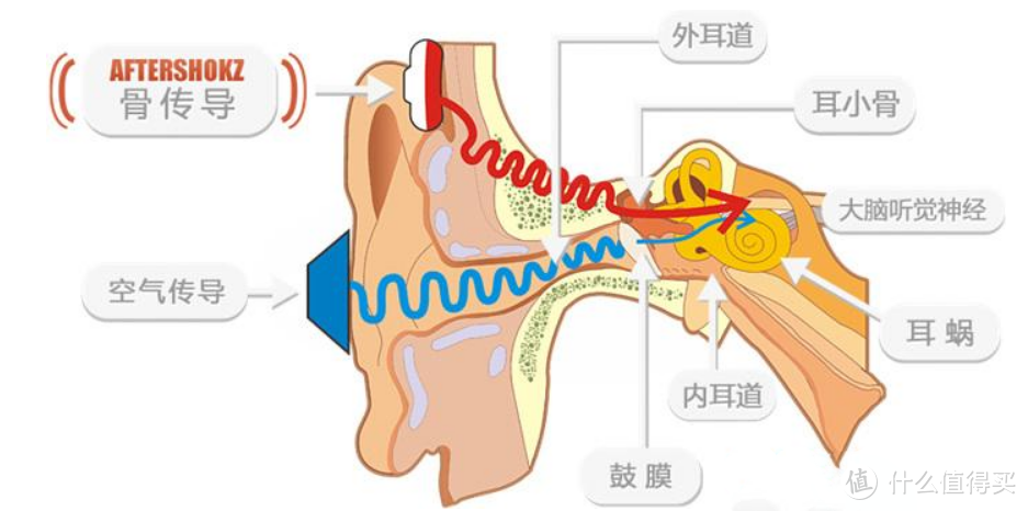 耳机黑科技？——飞利浦骨传导蓝牙运动耳机N6605体验