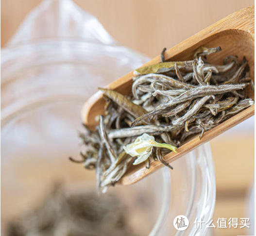 福鼎白茶介绍与入门，避坑要点