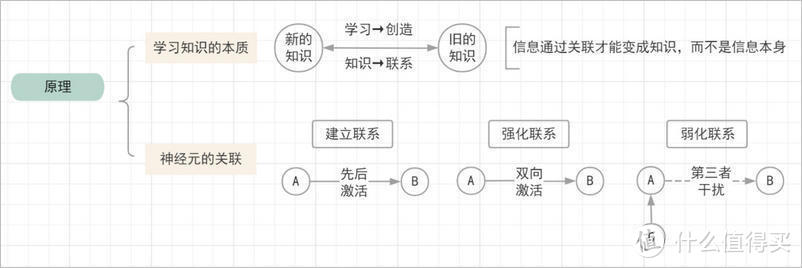 读书多≠懂的多，如何让大脑真正高效阅读、学习？