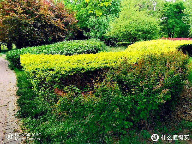 全能全天候望远镜，拍照有它就够了—荣耀30拍照体验