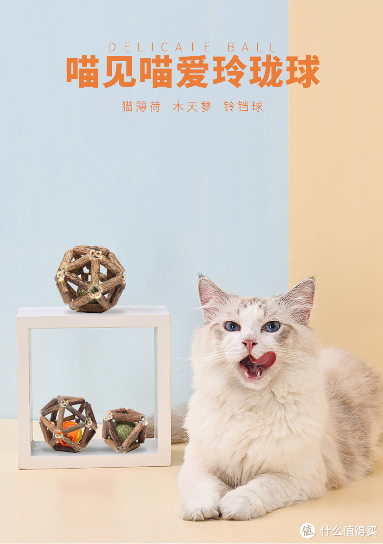 新手养猫指南——这12款最高不超9.9的猫玩具快给主子安排吧！