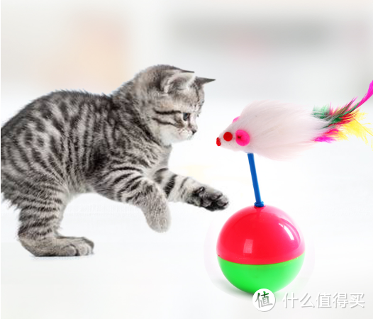 新手养猫指南——这12款最高不超9.9的猫玩具快给主子安排吧！