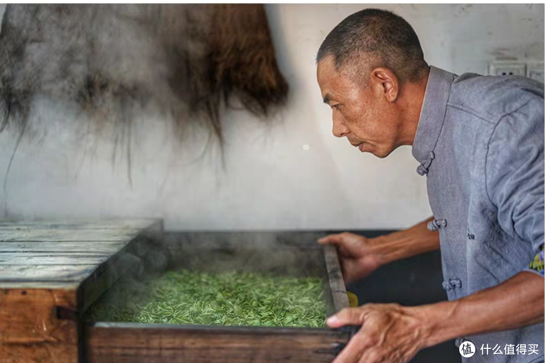 浅谈绿茶、可以不喝茶但不能不懂茶