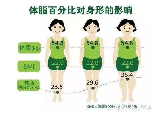 爱健身篇十四 小姐姐燃脂训练计划 Bmi 体脂率 基础代谢有什么用 3分练7分吃到底对不对 体育项目 什么值得买