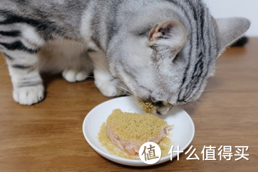 用三道式法国大餐，给猫咪在家过儿童节！