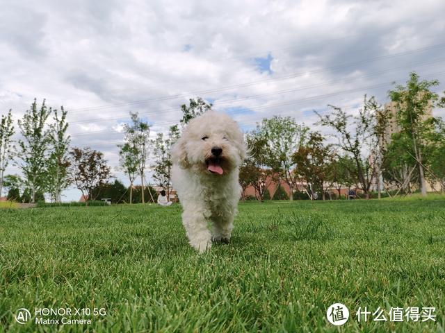 荣耀X10拍照体验：所看即所拍 见证属于自己的大师级摄影效果