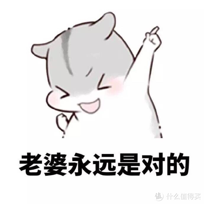 估计是天天听我叨叨叨,老婆现在也算半个家居,数码控了.