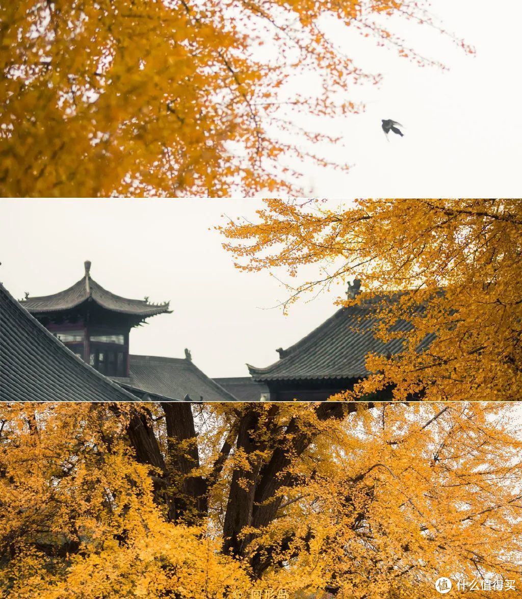 张张壁纸！游戏设计师业余摄影，拍下“极简”中国，优美如诗，动人心魄