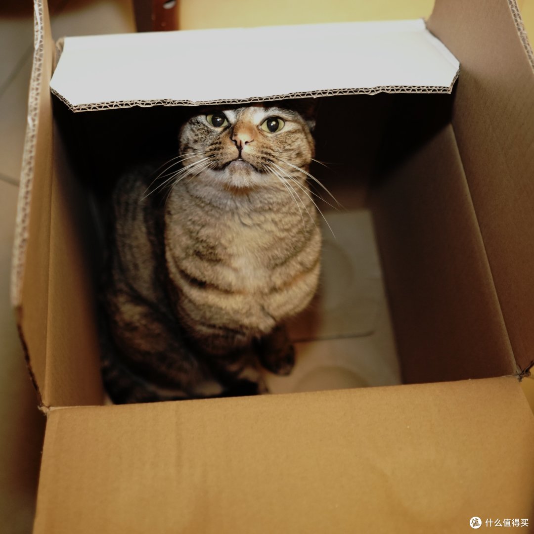 原图过曝就不写了