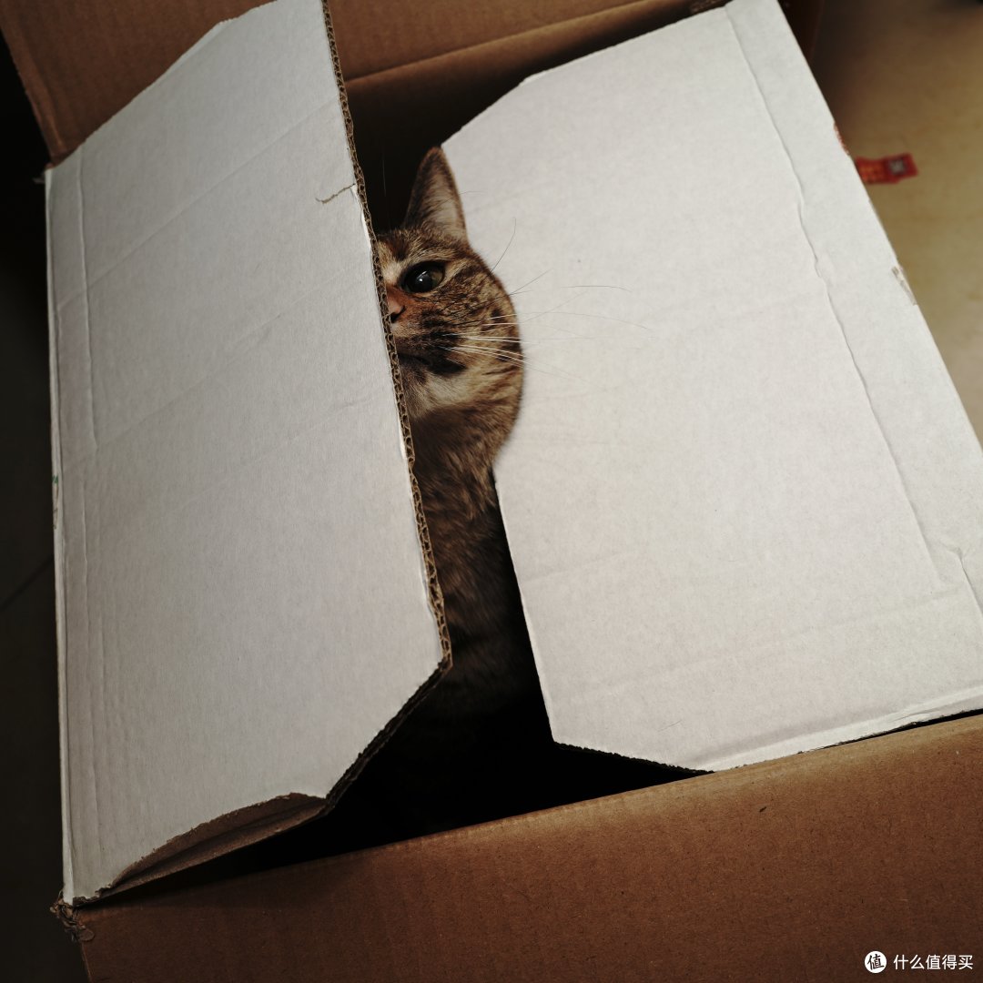 f6.3，1/125，ISO25，闪光灯，画面裁成方形