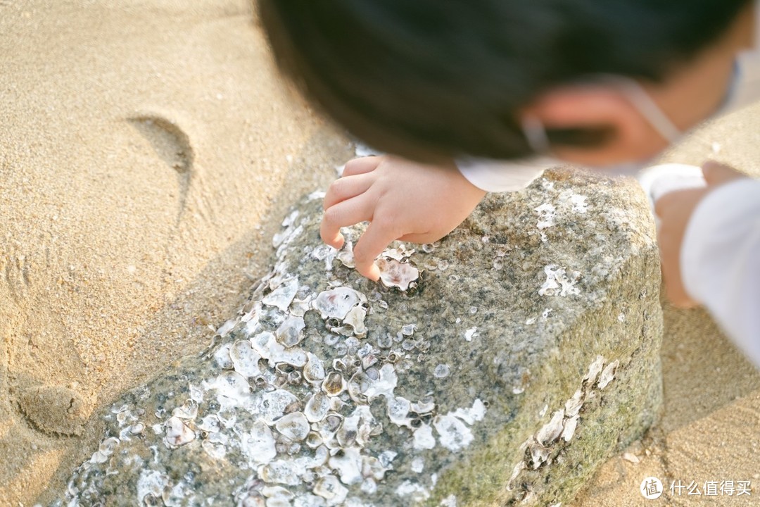 厦门初夏亲子游：不止阳光海滩，还有孩子最爱的ta！