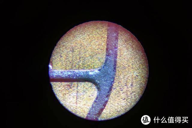 走进微观世界129块贵不贵？星特朗随身显微镜体验