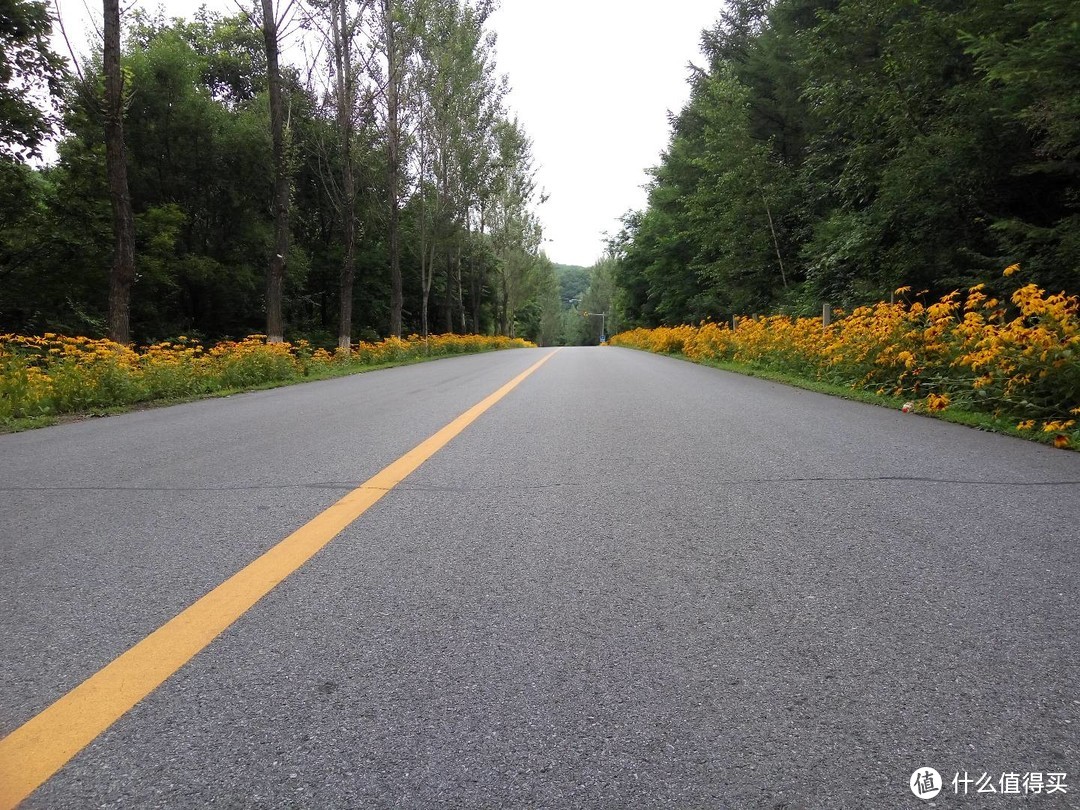 城市大玩家：丹东，这条路上的风景美如画，摄影爱好者的天堂（附两个汉子的自拍）