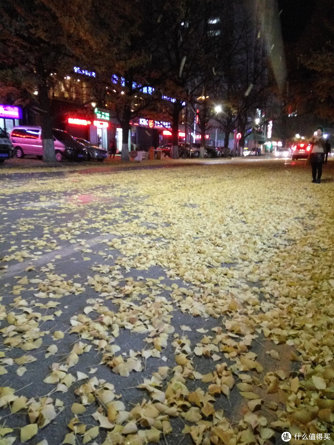 城市大玩家：丹东，银杏大道的风景美如画！