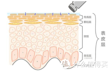 毛孔粗大好难看？看看这几点，轻松摆脱粗糙肌肤！