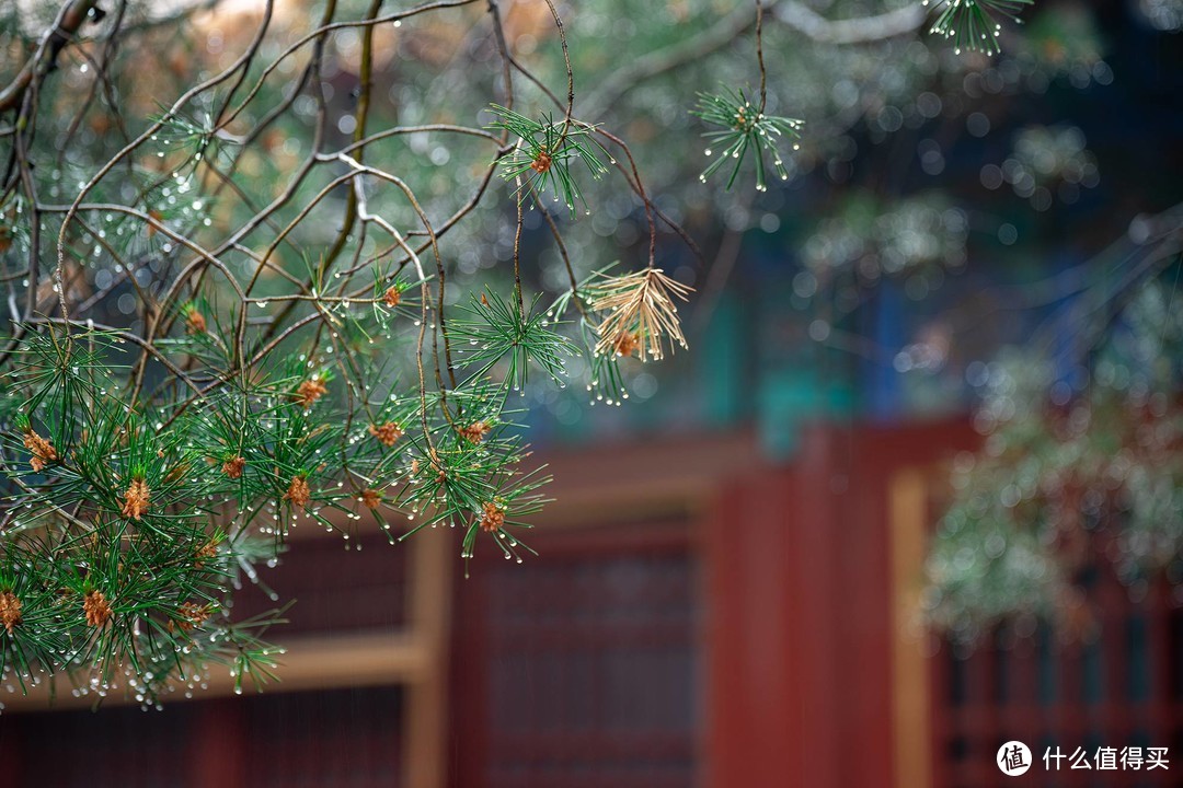 延续轻巧灵魂，腾龙70-180mm F2.8 评测