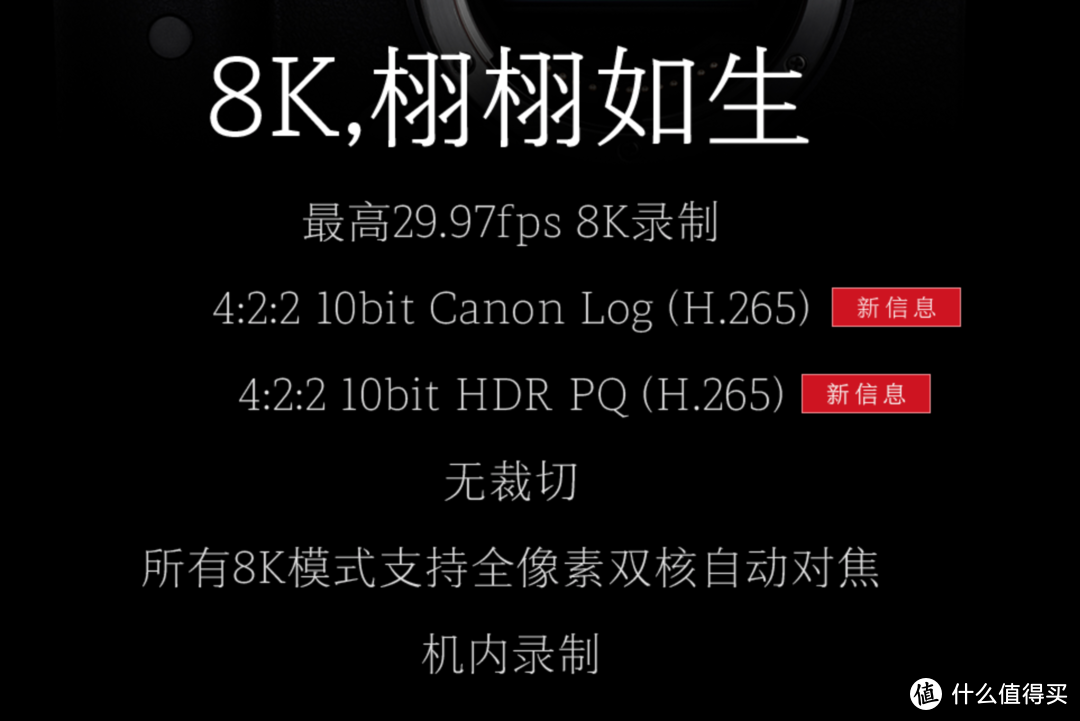 帮你留住美好瞬间——2020年什么全幅无反值得买