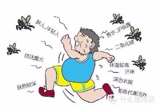 为什么蚊子总喜欢咬你