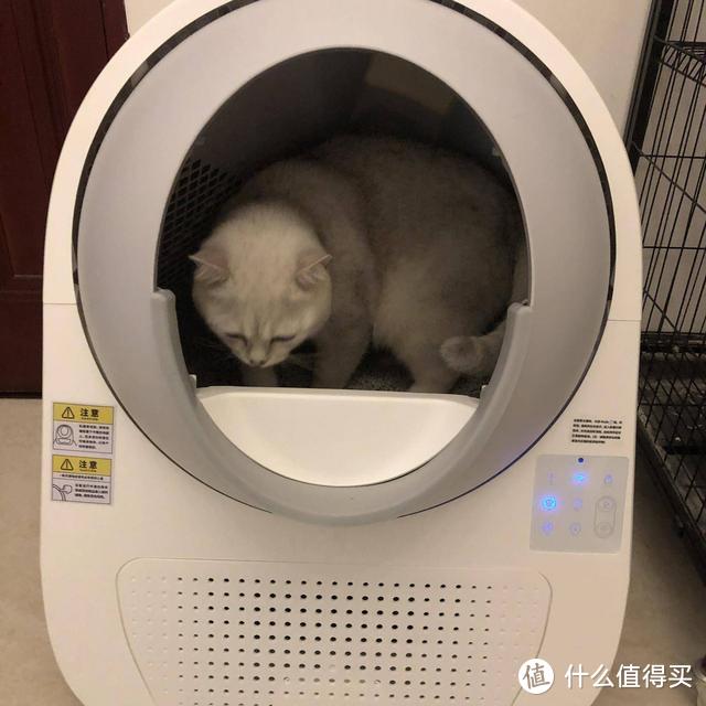 猫奴从此不再需要手动铲屎！CATLINK智能猫砂盆到底有多好用？