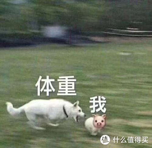 0糖0脂0添加的夏季肥宅快乐水——冷泡茶