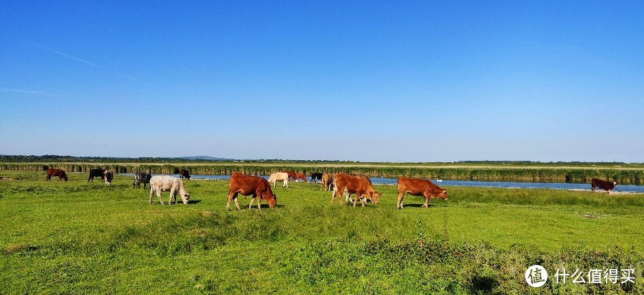 英国典型乡村风景，还是很美的