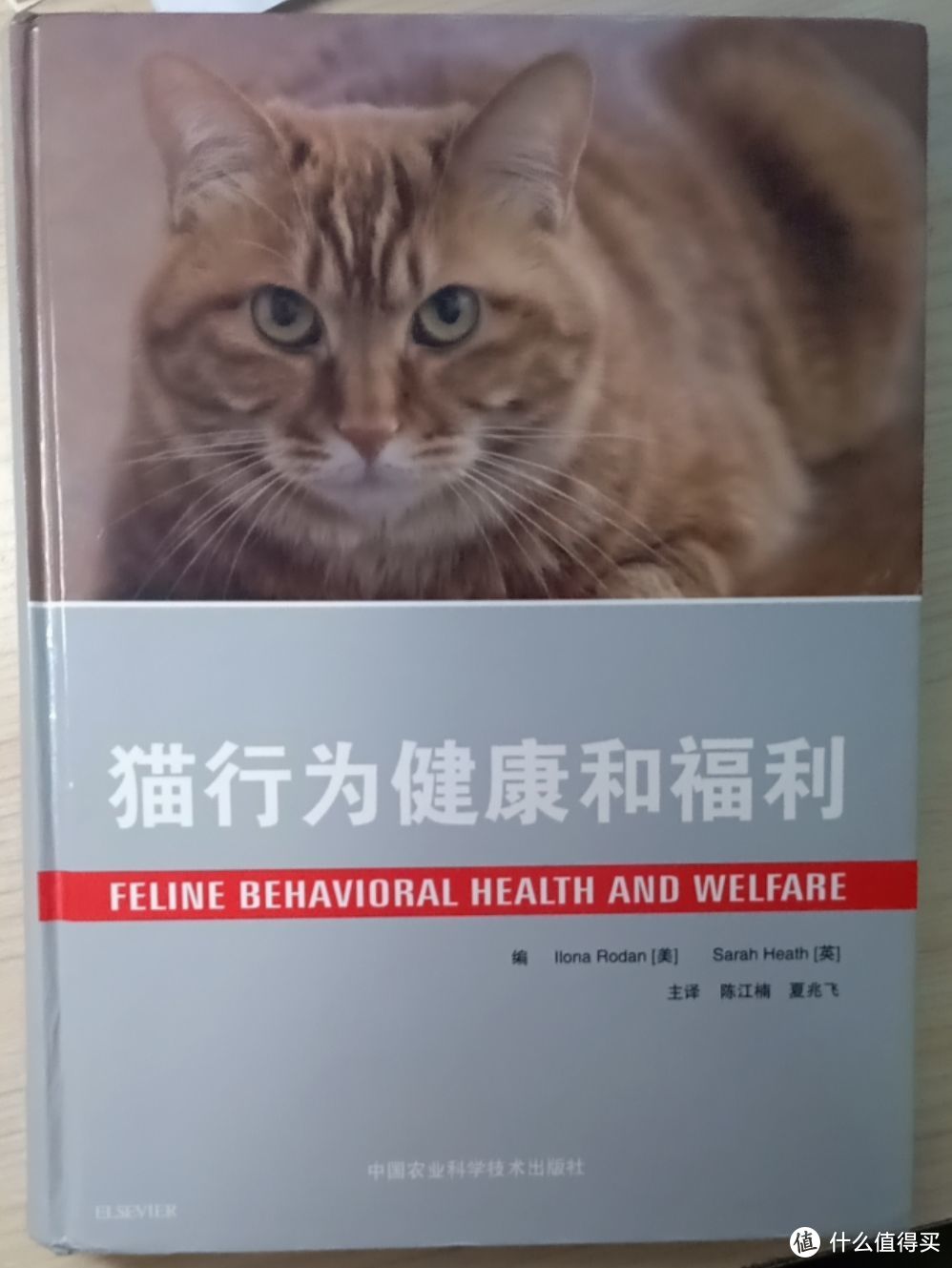 《猫行为健康和福利》