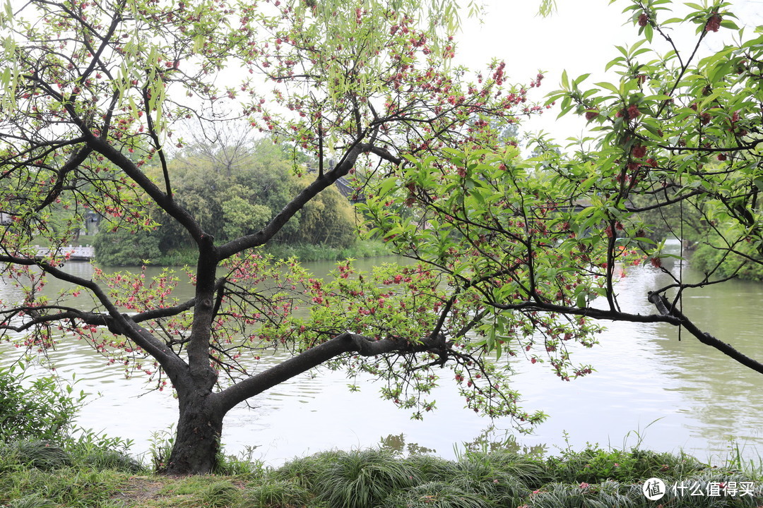 城市大玩家：扬州丝与竹——瘦西湖景区