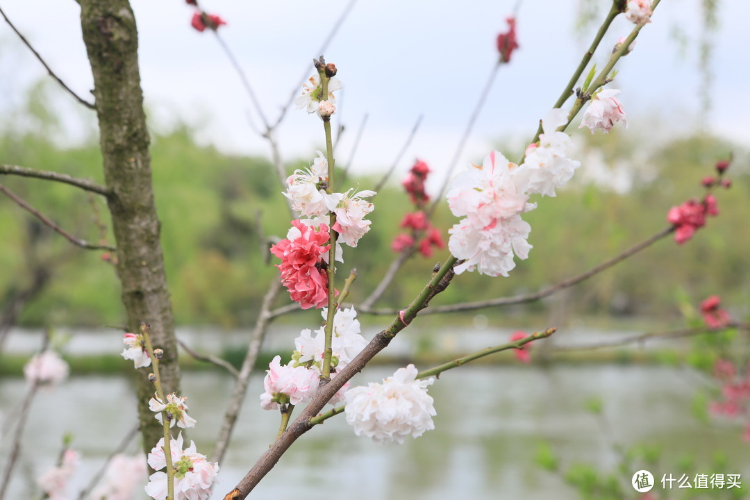 城市大玩家：扬州丝与竹——瘦西湖景区