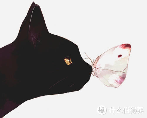 《蝴蝶的猫》也许爱猫的人都有一个细腻的灵魂。