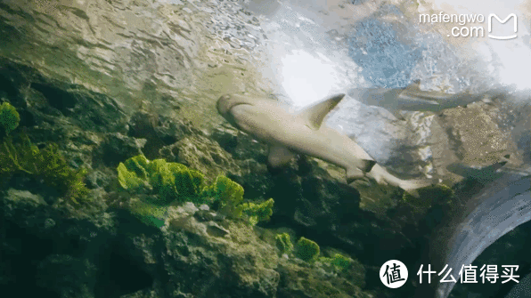 台湾海洋生物博物馆