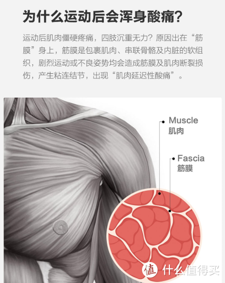 低成本改造全屋智能化，有了这20件，做高品质生活家！