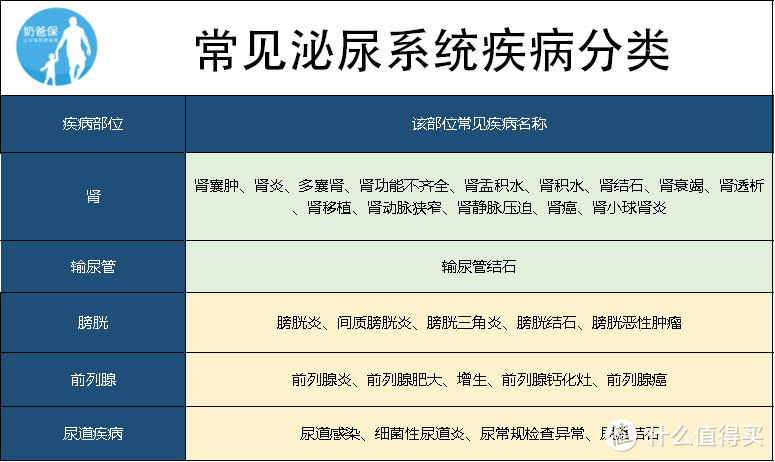 (点击查看常见泌尿系统疾病分类)