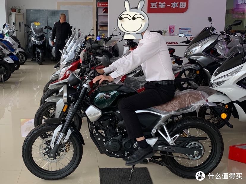 比较了五羊本田190ss