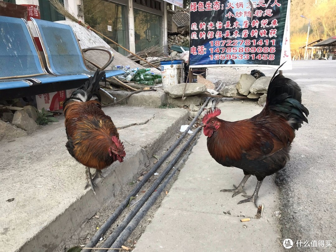 云窍旁通吞日月，烟萝倒拔挂虹霓 ——黔行于崇山峻岭间