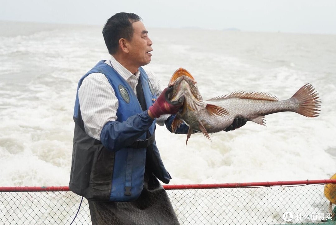 海信食神450（BCD-450WMK1DPUJ）十字对开门冰箱晒单测评