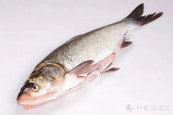 终于知道为啥以前做的酸菜鱼都不好吃了，原来是鱼没有选对！