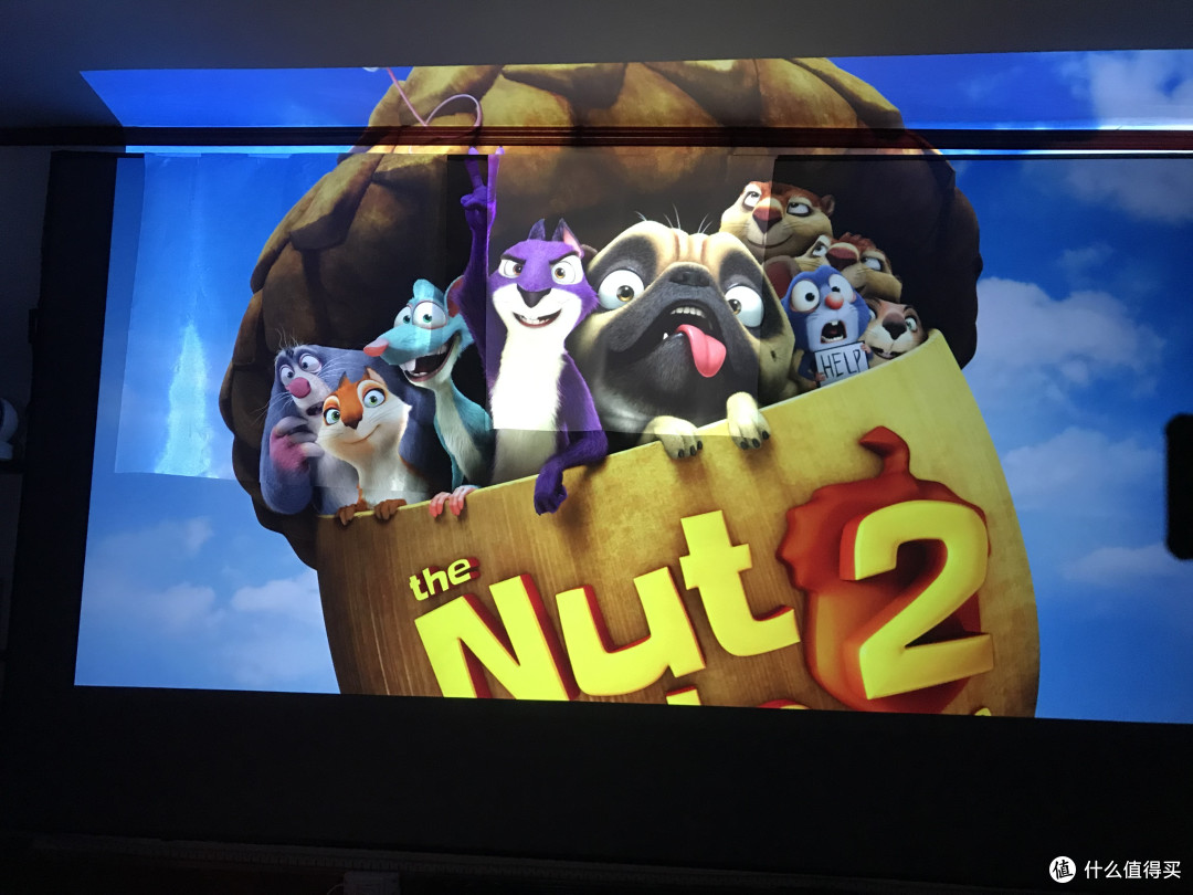 关于短焦 or 中长焦幕布的选购杂谈 —— 附不同幕布对比