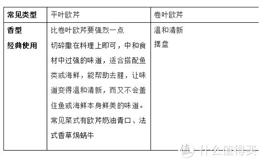 西餐中常见的10种香草——当盆栽也很不错哦！