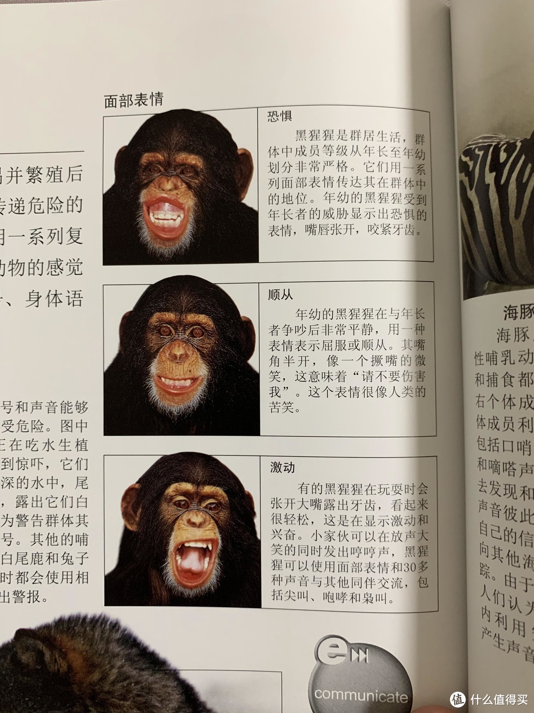 图书馆猿の2020读书计划32：《DK探索系列：哺乳动物》