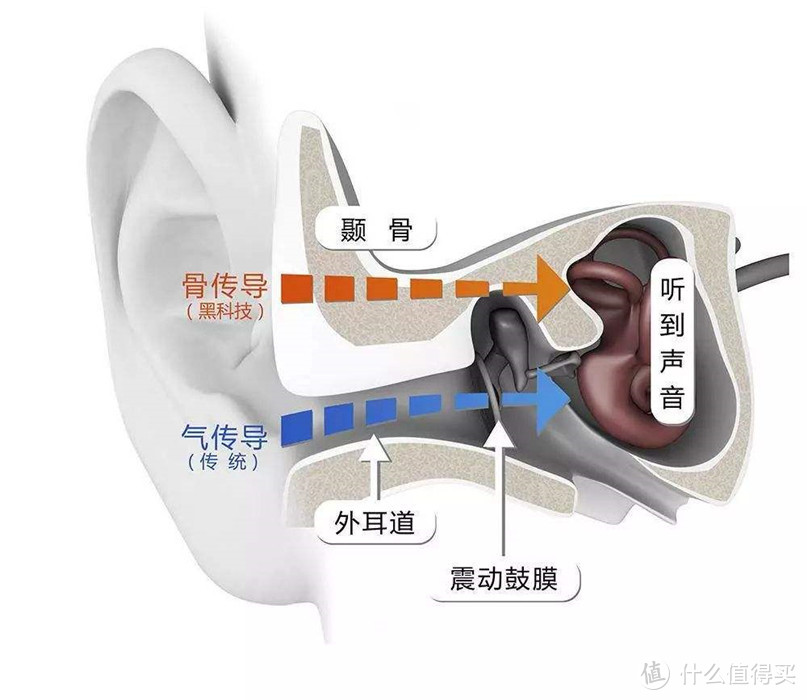 声由骨传 心随乐动----Nank Runner CC骨传导运动耳机使用评测