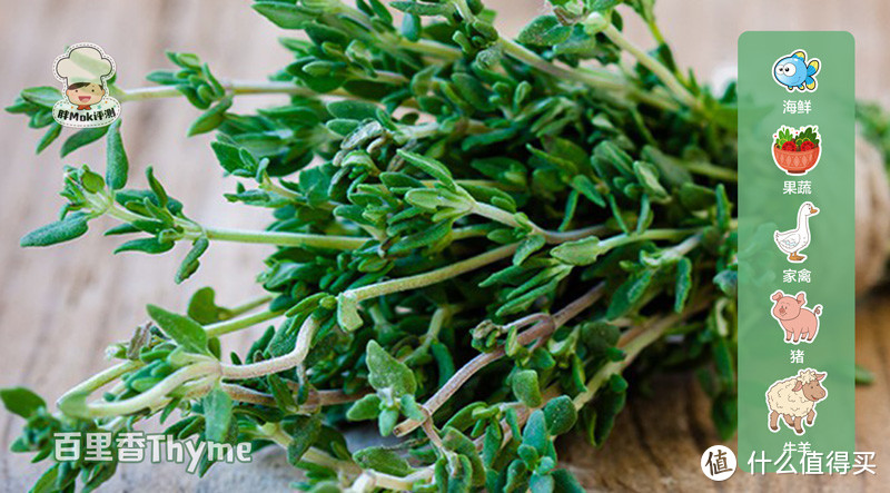 西餐中常见的10种香草——当盆栽也很不错哦！