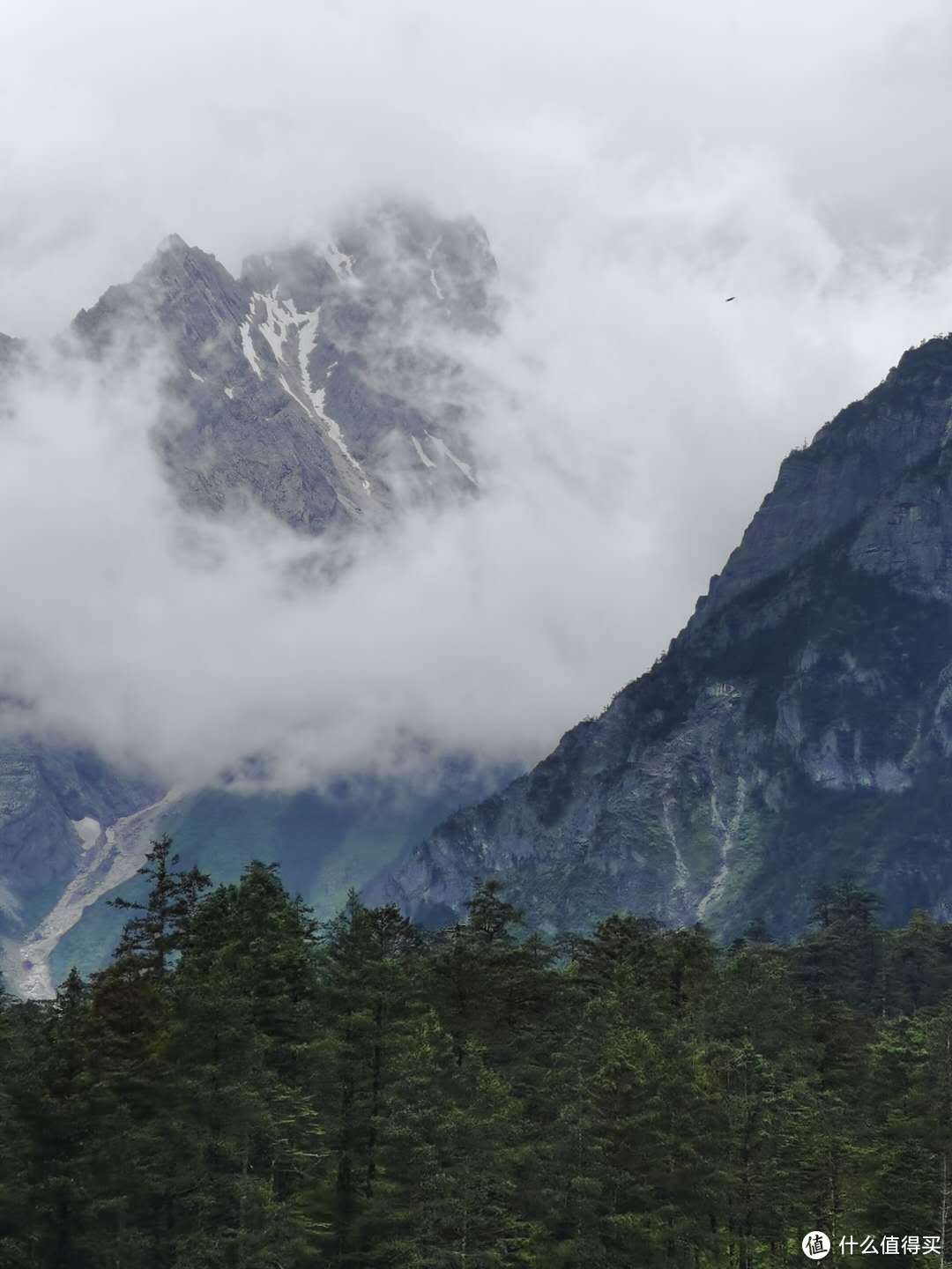 在云杉坪看雪山