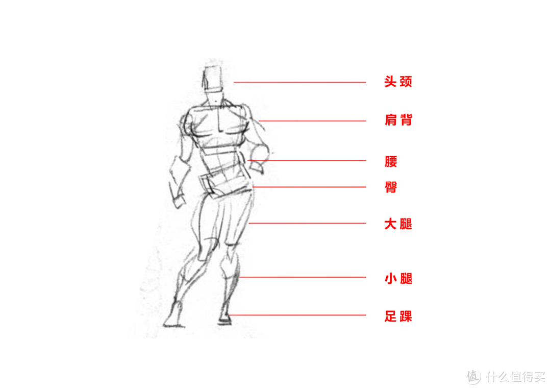 床垫还分三区？五区？七区？分区床垫究竟是不是智商税？