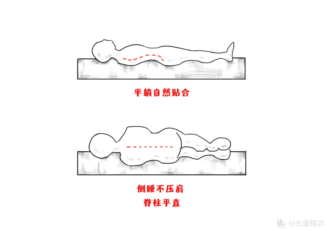 床垫还分三区？五区？七区？分区床垫究竟是不是智商税？