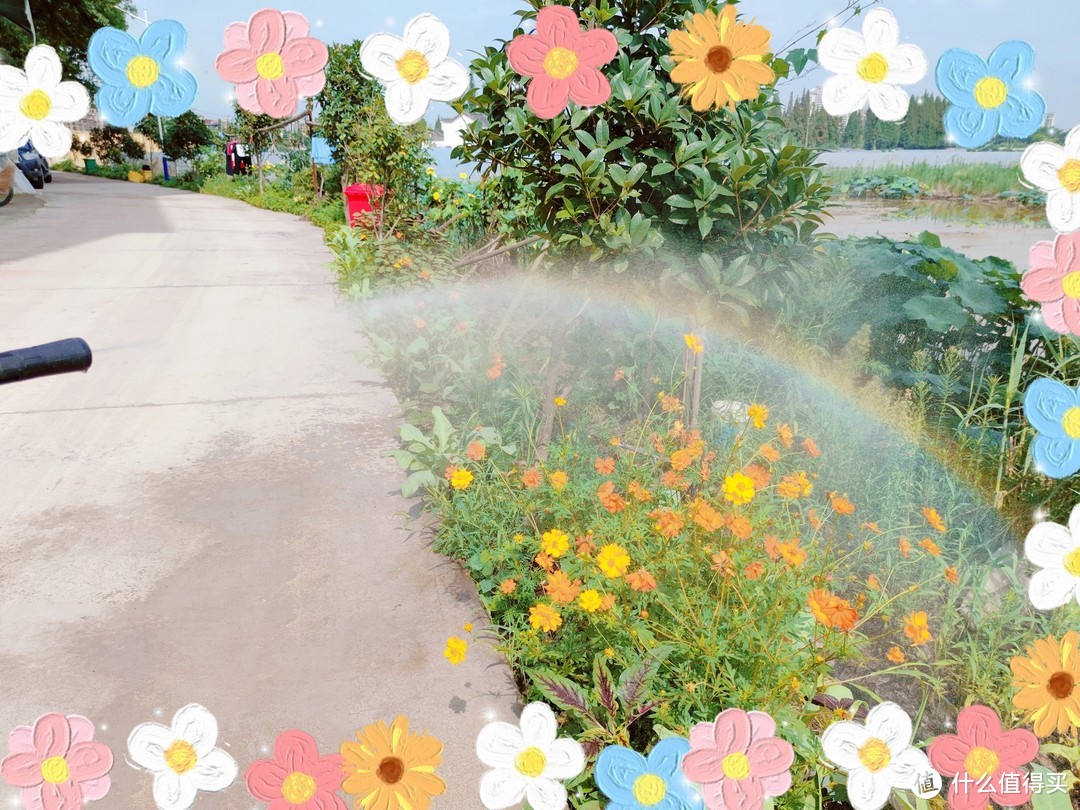 这个夏天Fixnow送你一道美丽的彩虹——驱散疫情的阴霾
