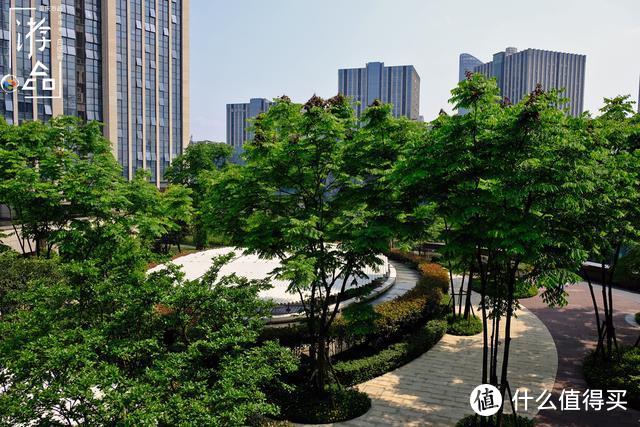 重庆繁华闹市里的空中花园，每天几万人路过，却极少有人知晓