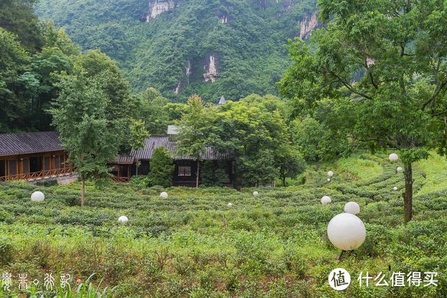 山水间的五寨，洞穴中的餐厅，探秘张家界绝版山水之中的网红酒店