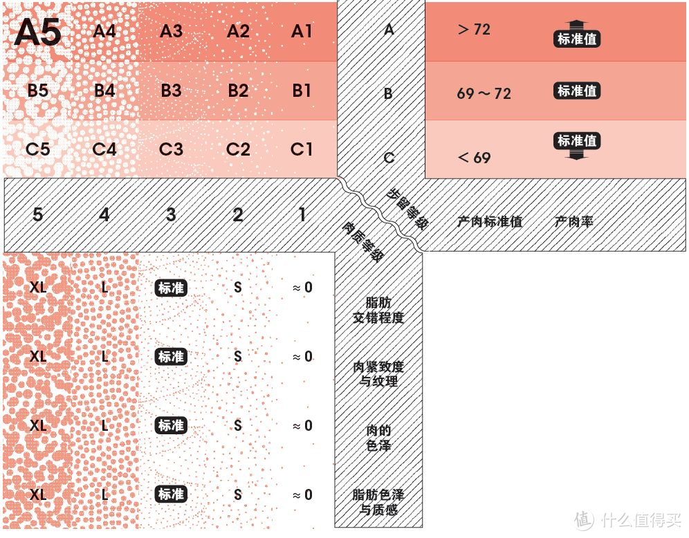 和牛等级坐标图