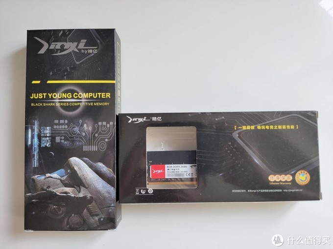 可能是颗粒最好的低价高频内存：精亿DDR4 8G 3000马甲条小测