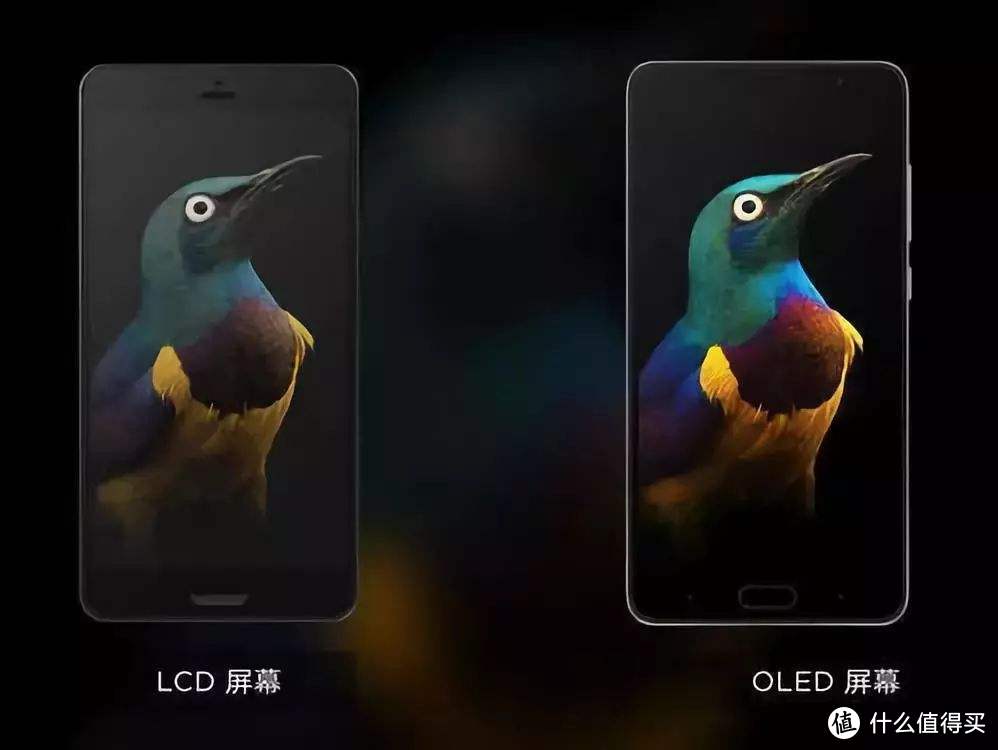 LCD和OLED色彩差异，但OLED存在频闪（图片源自网络）